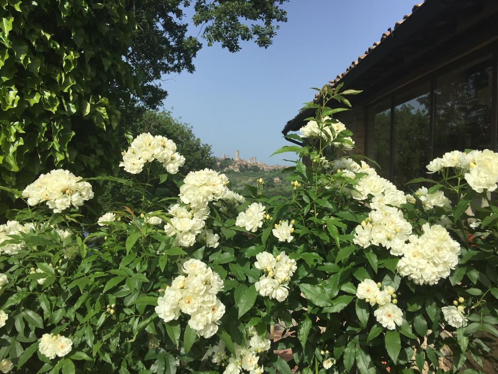 סן ג'ימיניאנו Podere Sant'Elena מראה חיצוני תמונה