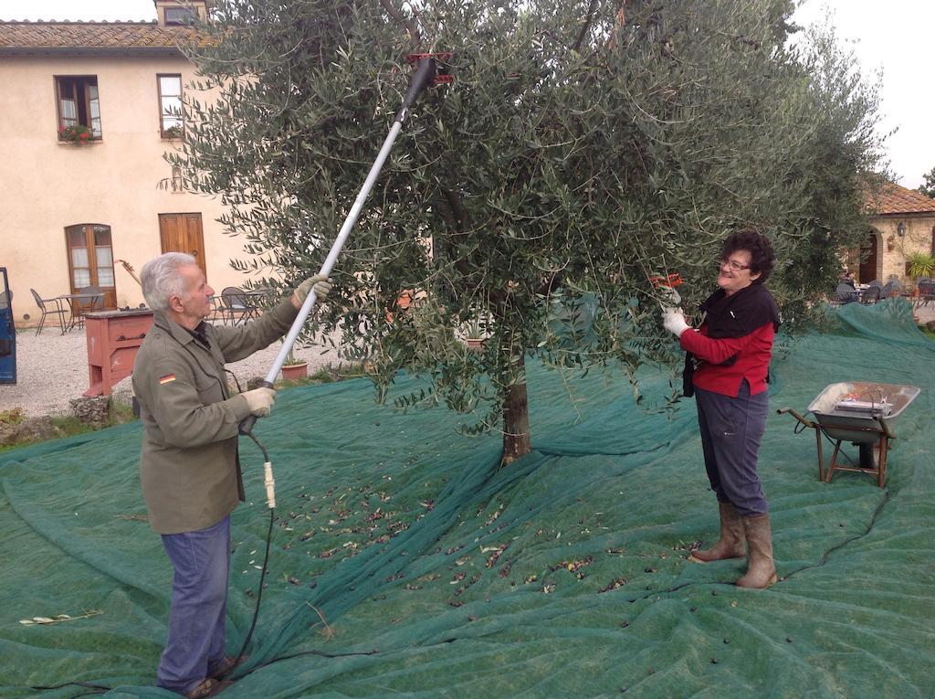 סן ג'ימיניאנו Podere Sant'Elena מראה חיצוני תמונה